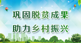 鞏固脫貧成果助力鄉村振興